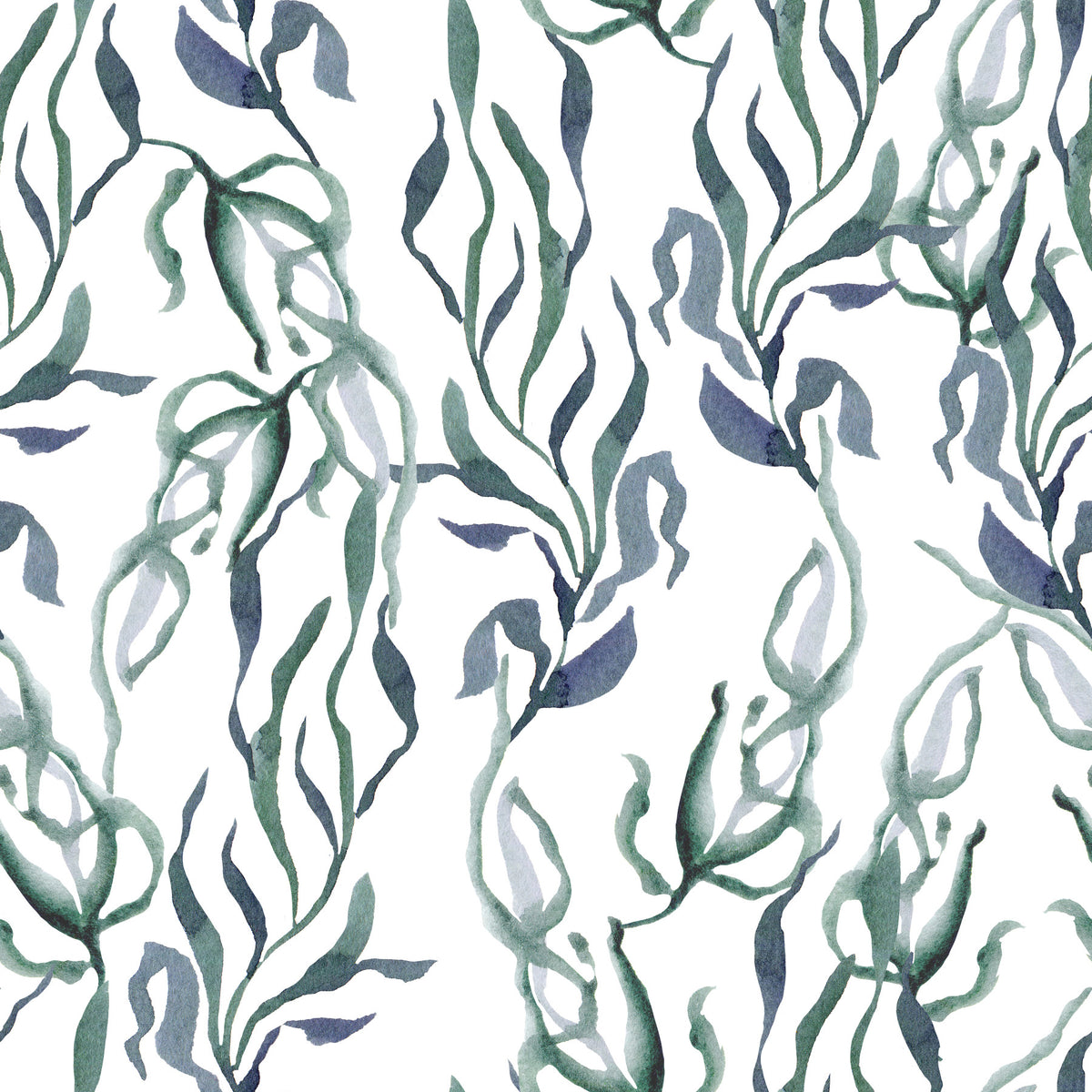 Watercolor Seaweed Silhouette Wallpaper⁠ in your room