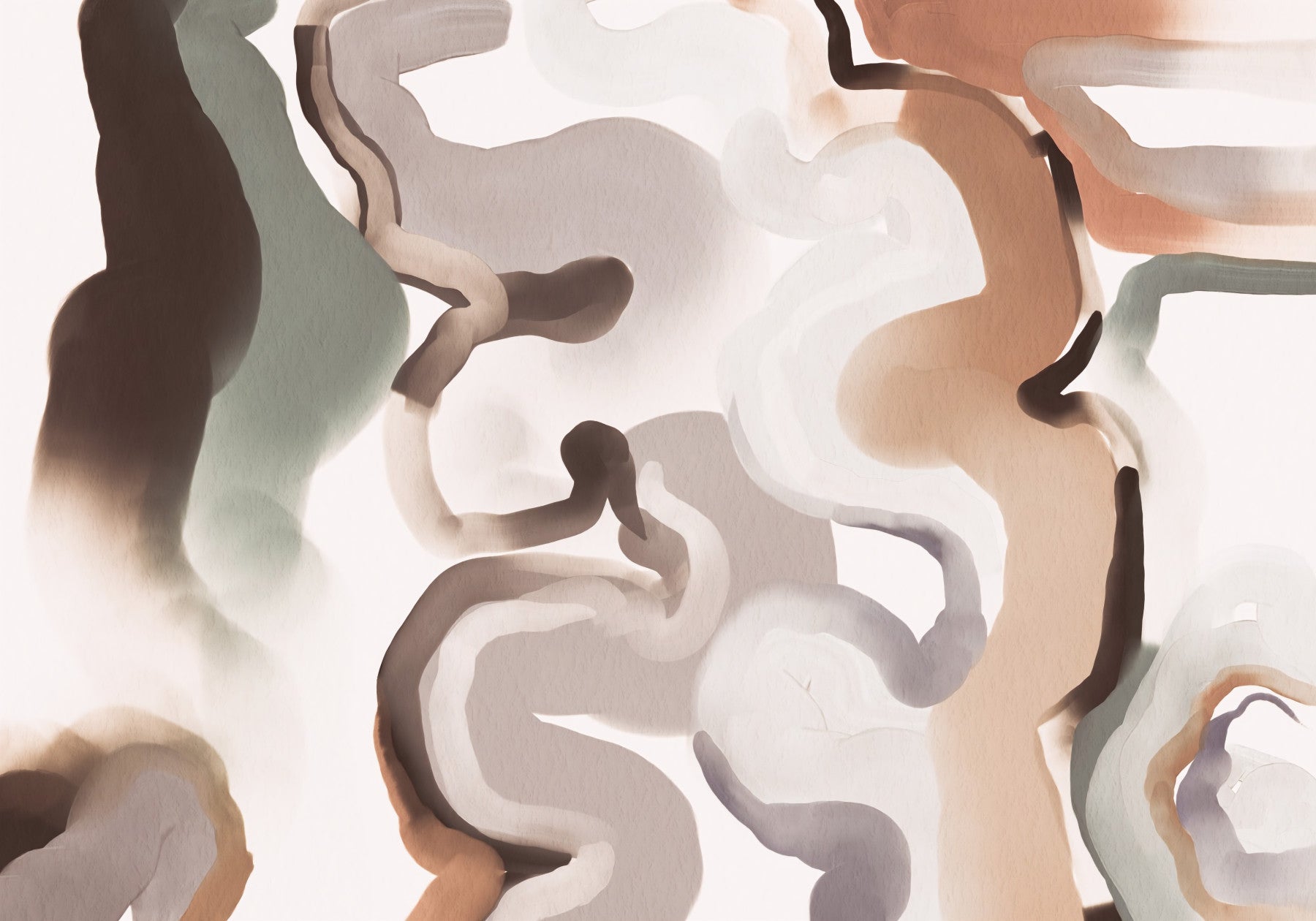 Organic Earthy Abstract Curves Wall Mural