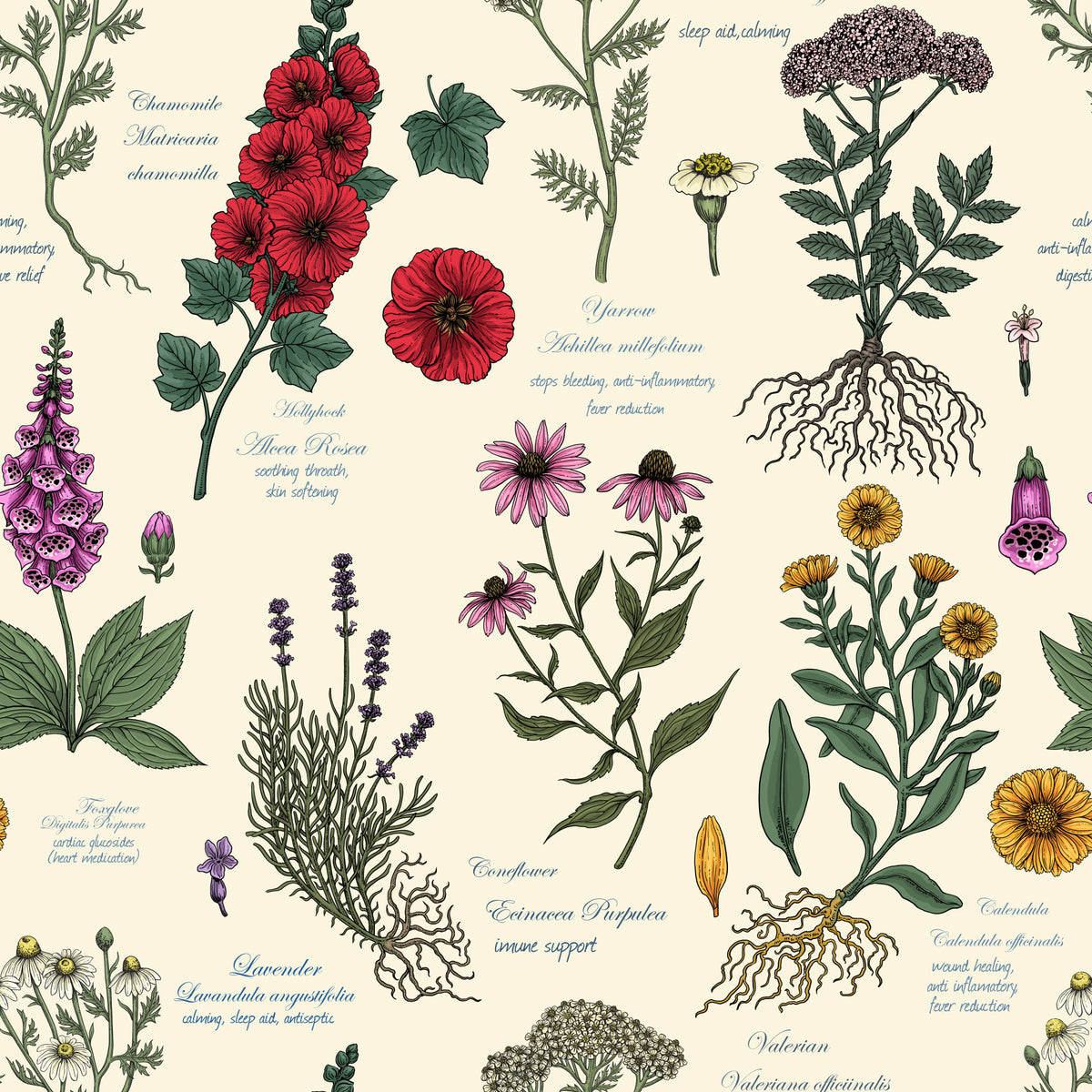 Vintage Botanical Herbarium Study Wallpaper⁠ in your room
