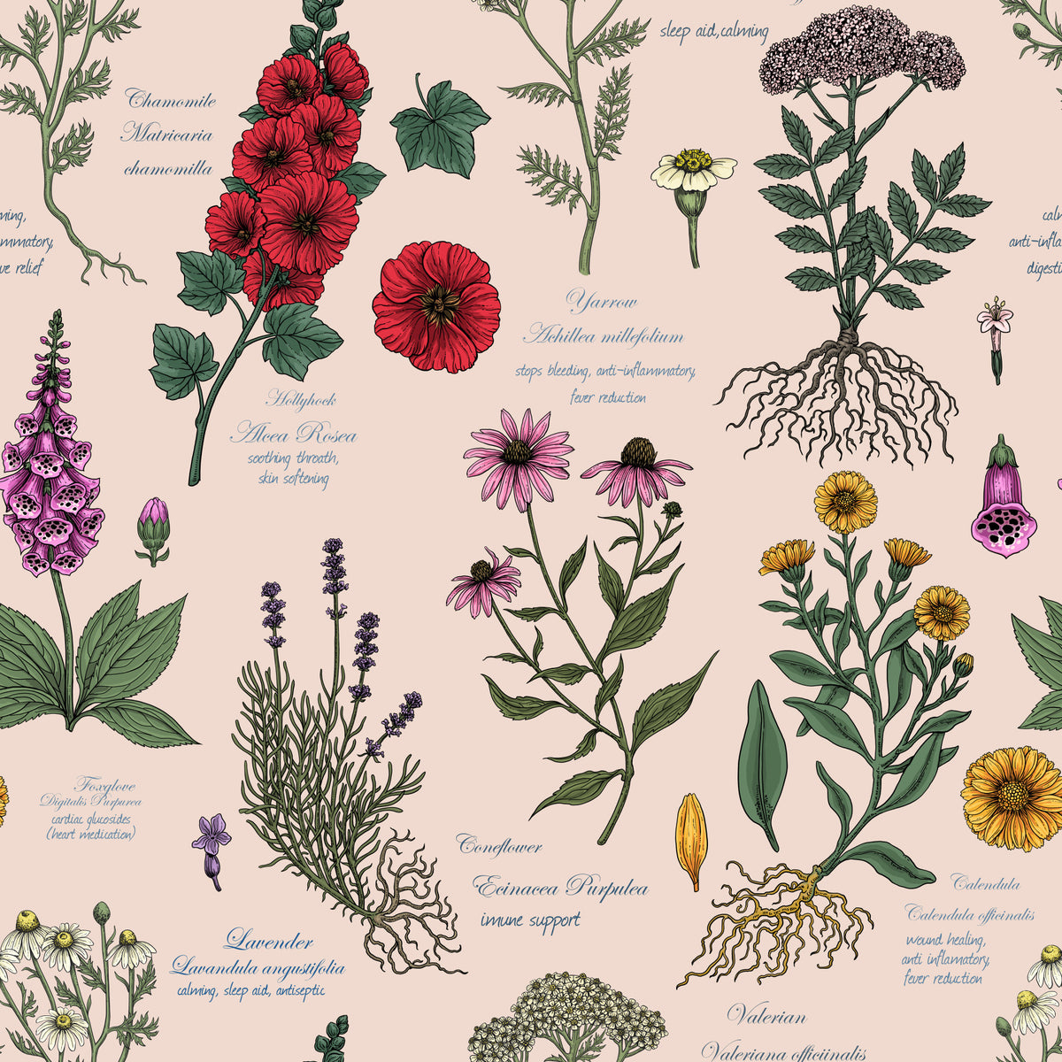 Medicinal Wildflower Garden Study Wallpaper⁠ in your room
