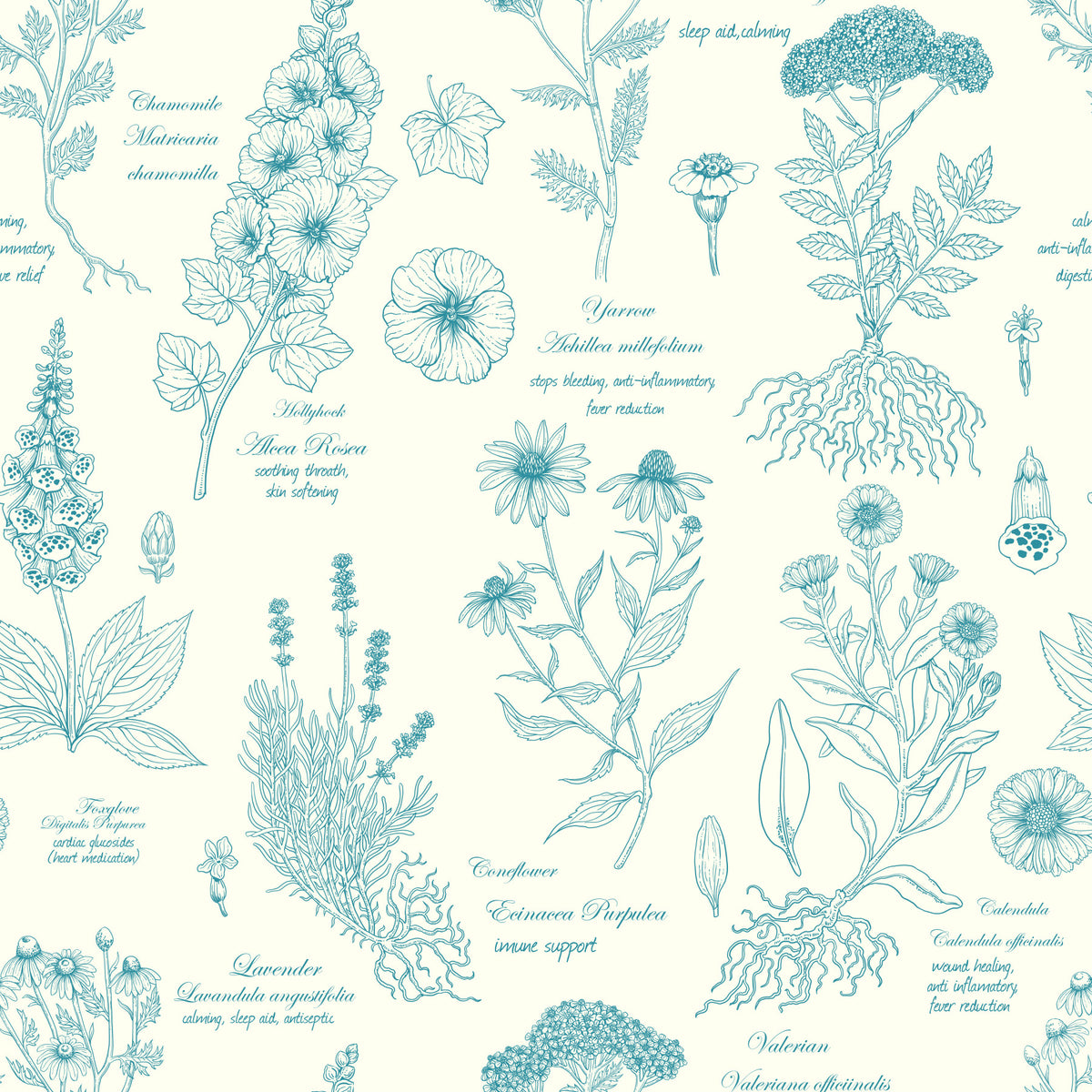 Botanical Sketch Herbarium Illustration Wallpaper⁠ in your room