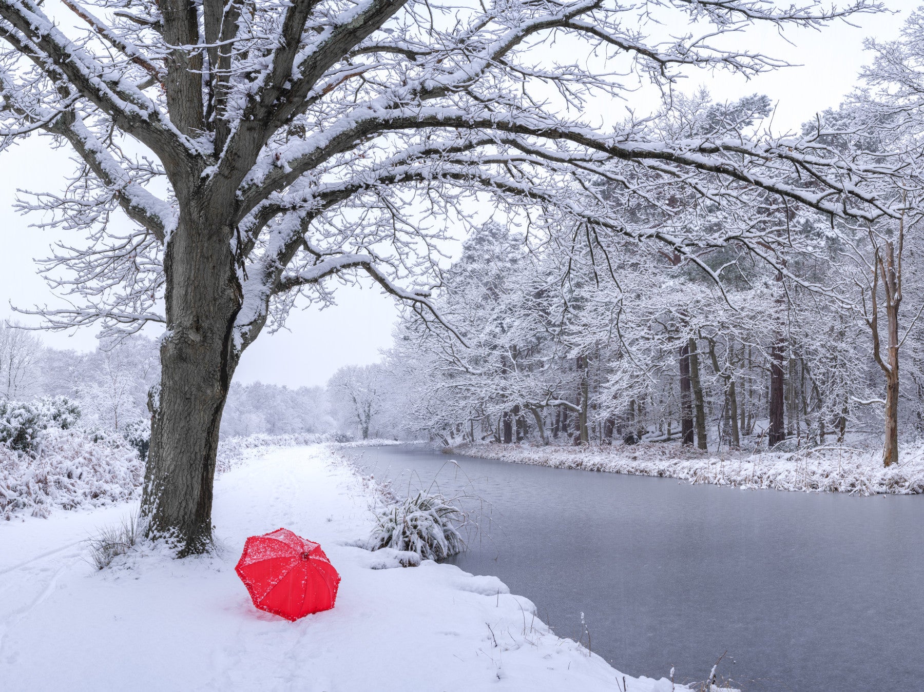 Frozen Canal Winter Woodland Wall Mural