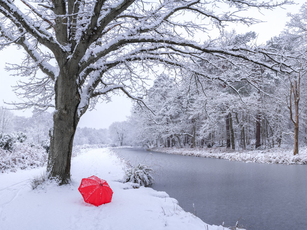 Frozen Canal Winter Woodland Wall Mural in your room — zoomed