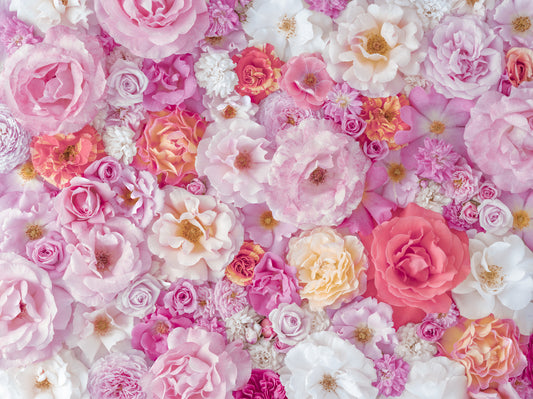 Summer Garden Petal Symphony Wall Mural