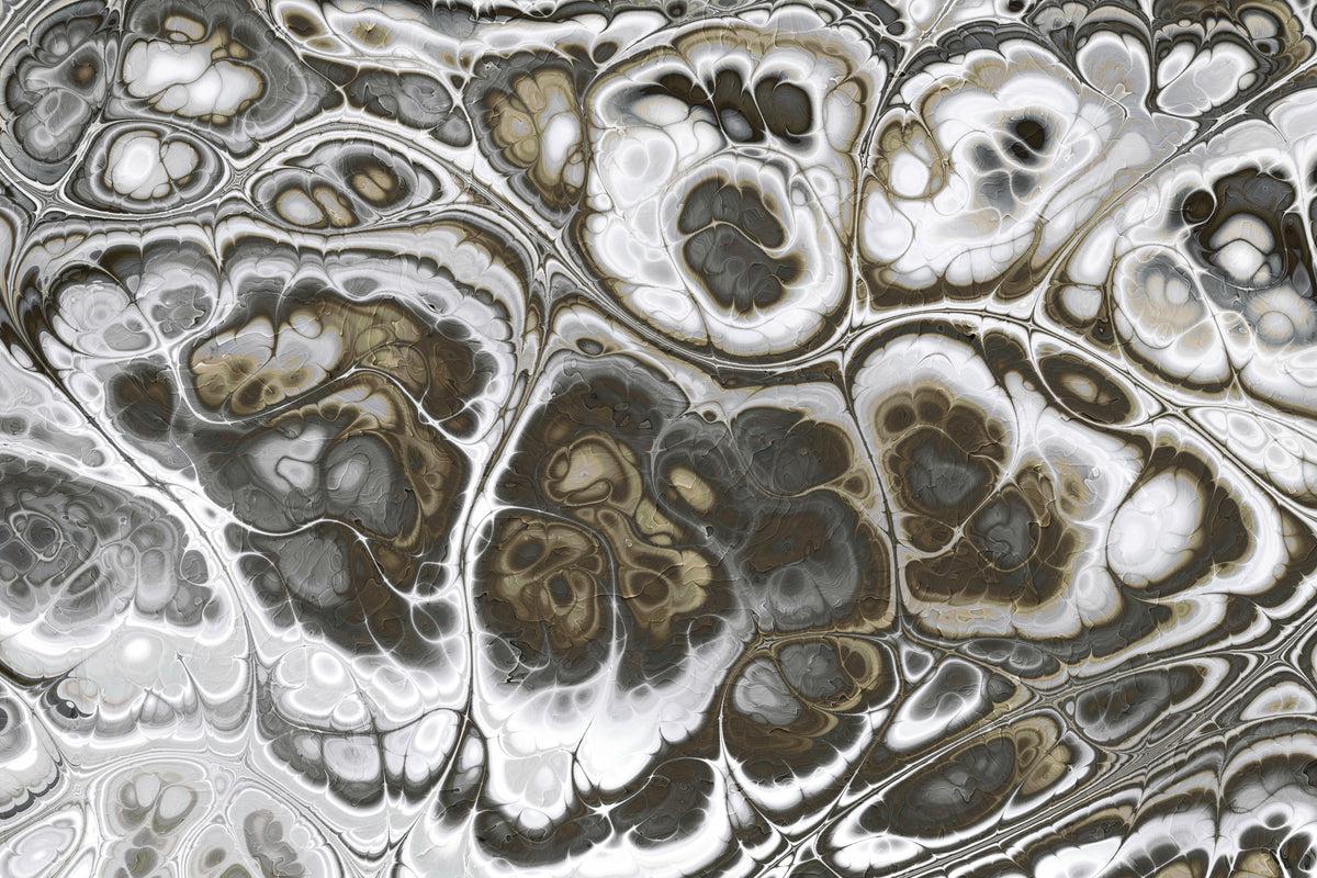 Abstract Gray Marble Texture Elegance Wall Mural in your room