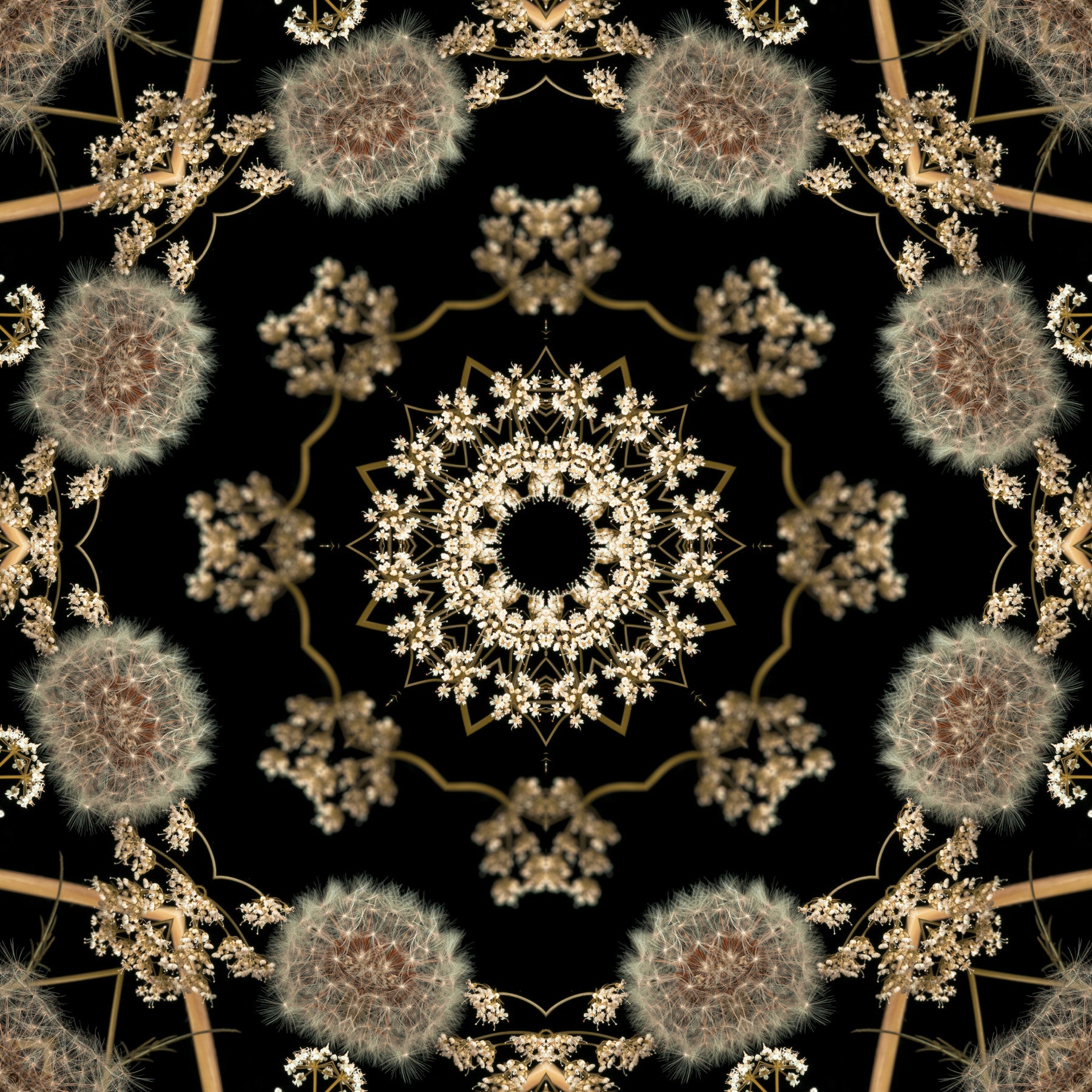 Midnight Meadow Radial Flora Wallpaper⁠