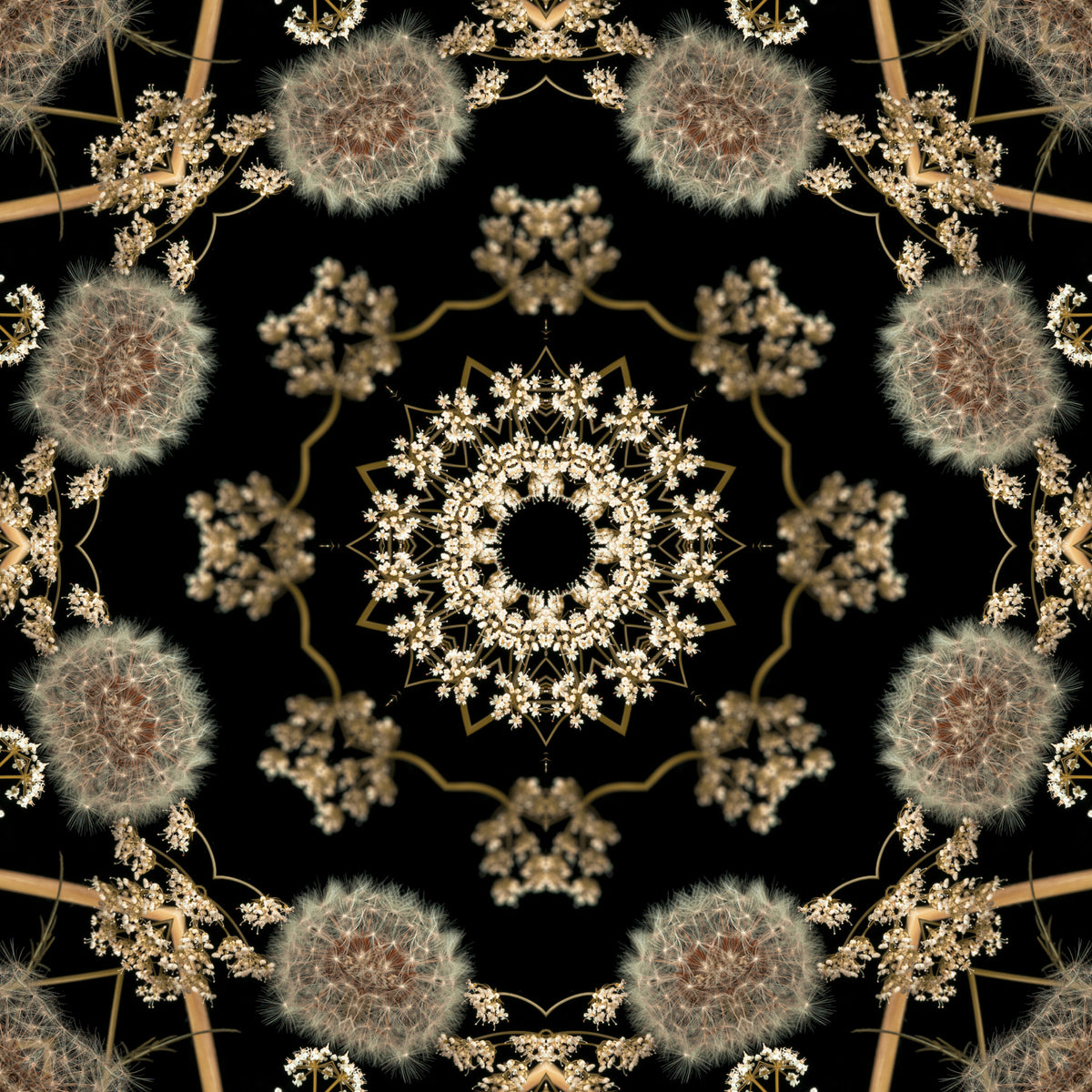 Midnight Meadow Radial Flora Wallpaper⁠ in your room