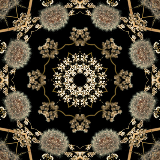Midnight Meadow Radial Flora Wallpaper⁠