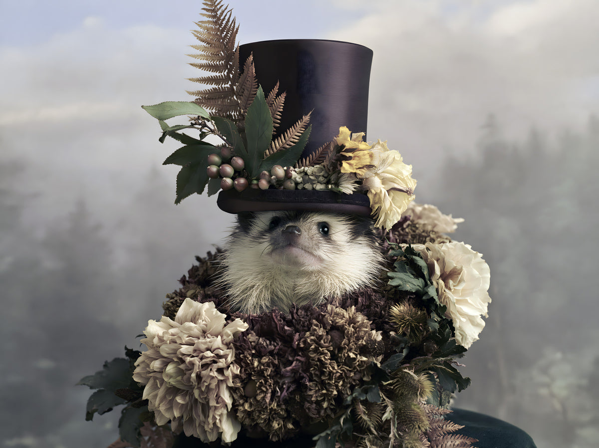 Hedgehog in Botanical Top Hat Wall Mural in your room — zoomed