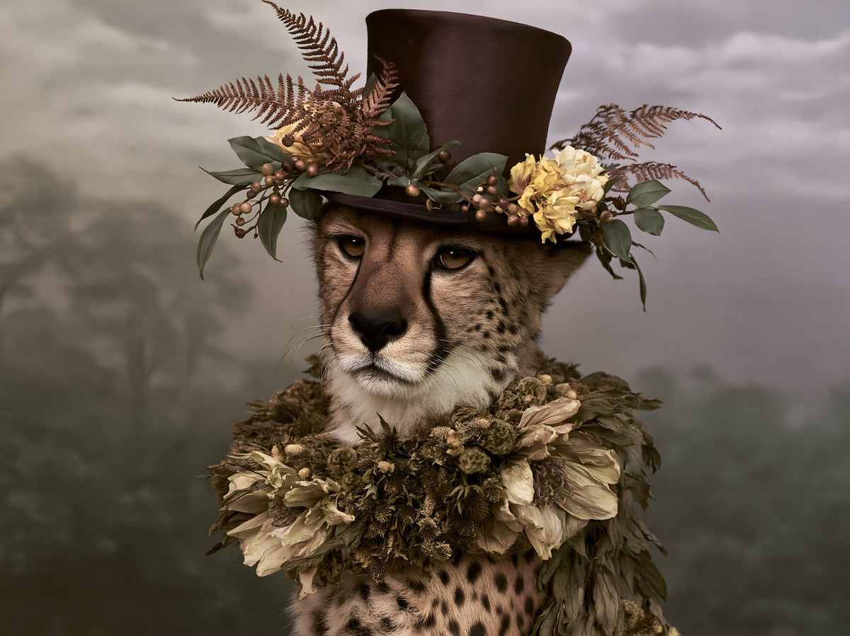 Cheetah in Top Hat with Floral Crown Wall Mural in your room — zoomed