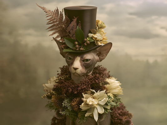 Dapper Sphynx in Top Hat and Florals Wall Mural