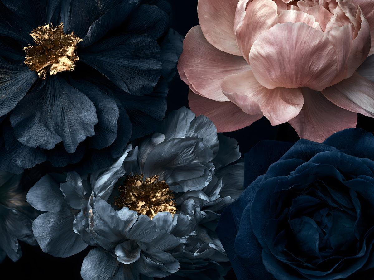 Midnight Peony Blooms with Gold Accents Wall Mural in your room — zoomed