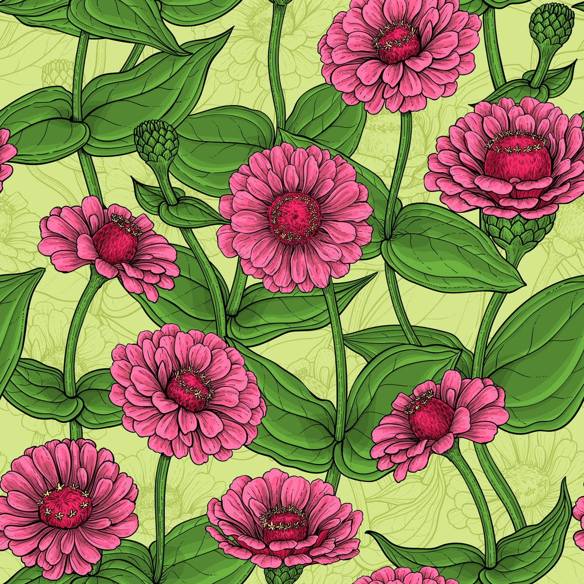 Garden Zinnia Botanical Illustration Wallpaper⁠ in your room