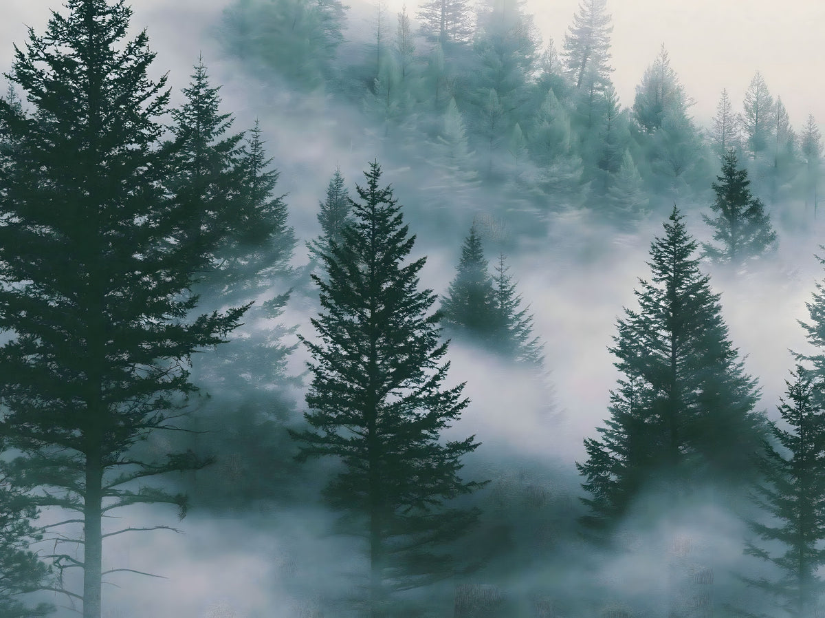 Misty Alpine Forest Serenity Wall Mural in your room