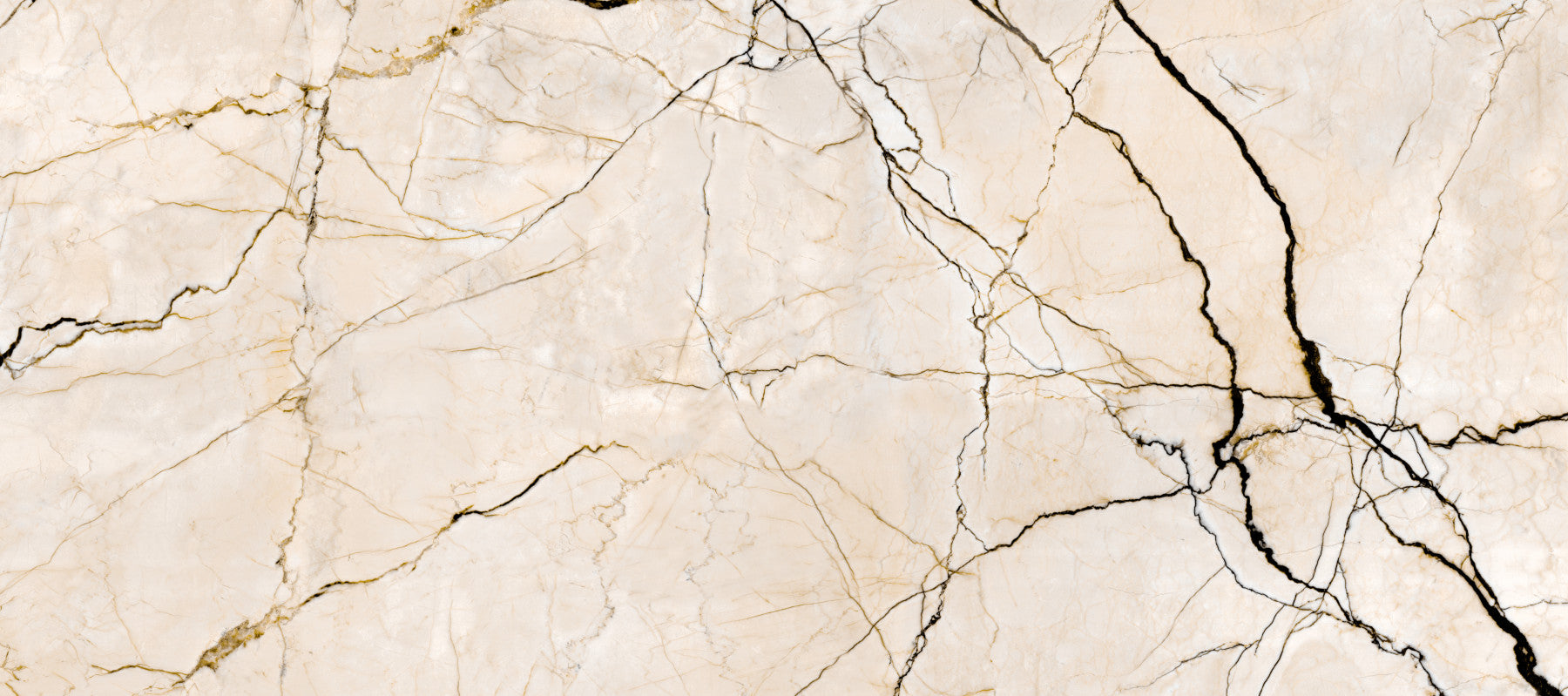 Cream and Black Marble Vein Wall Mural