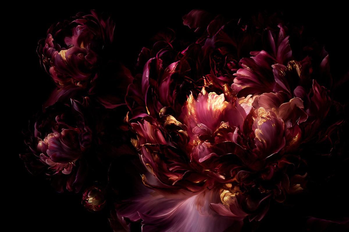 Midnight Crimson Bloom Wall Mural in your room