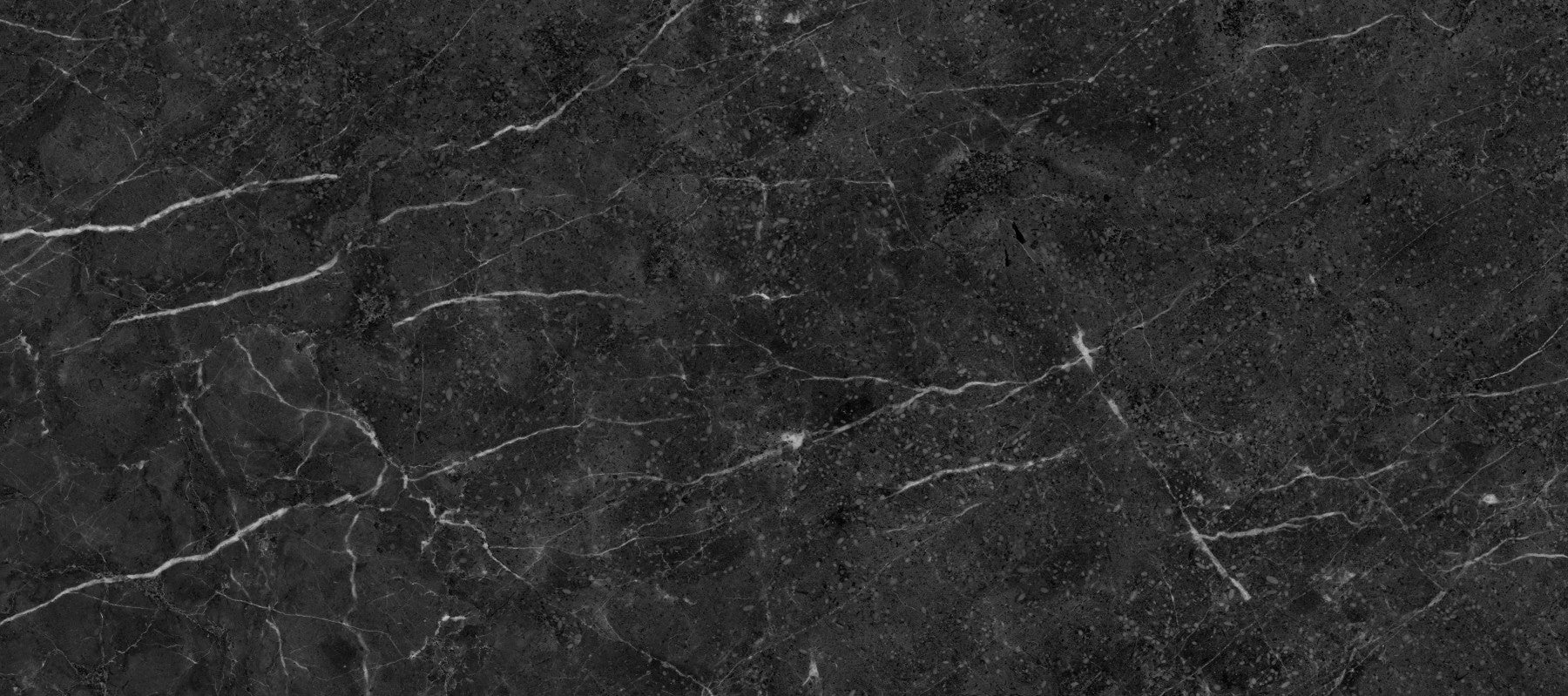 Midnight Slate Veined Marble Wall Mural