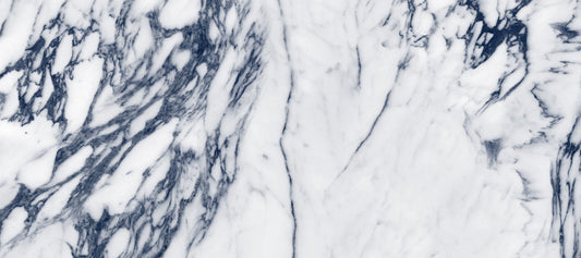 Monochrome Marble Vein Wall Mural