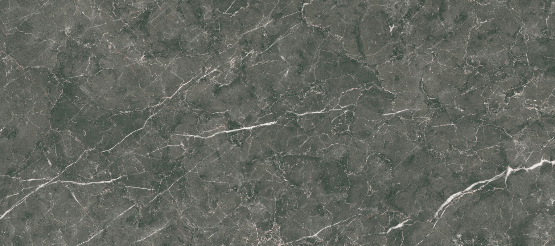 Dark Charcoal Marble Vein Wall Mural