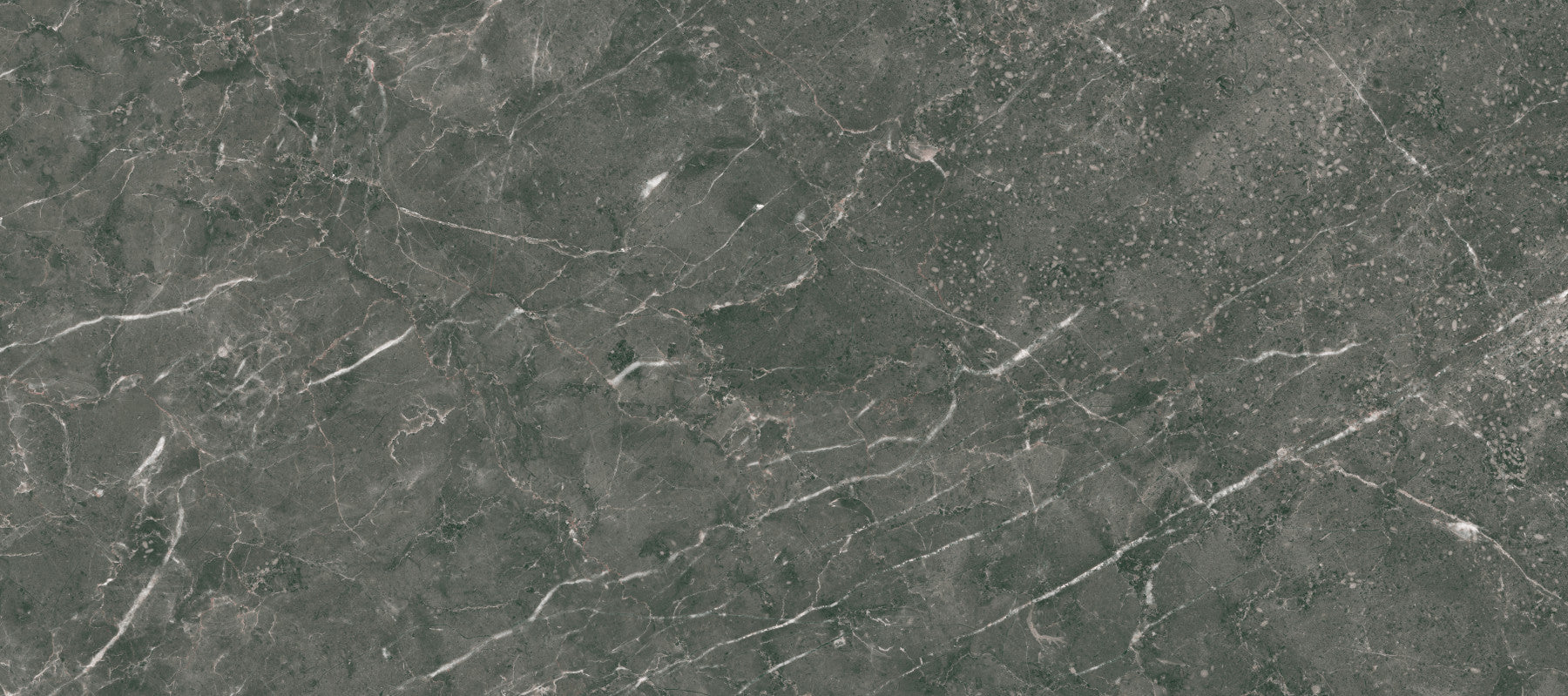 Dark Charcoal Marble Vein Wall Mural