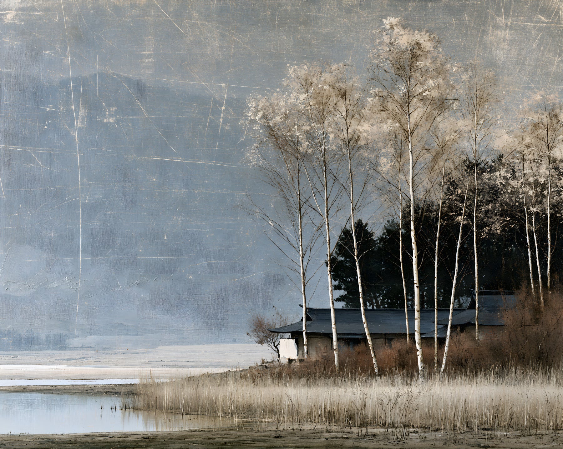 Mist Over Distant Birch Trees Wall Mural
