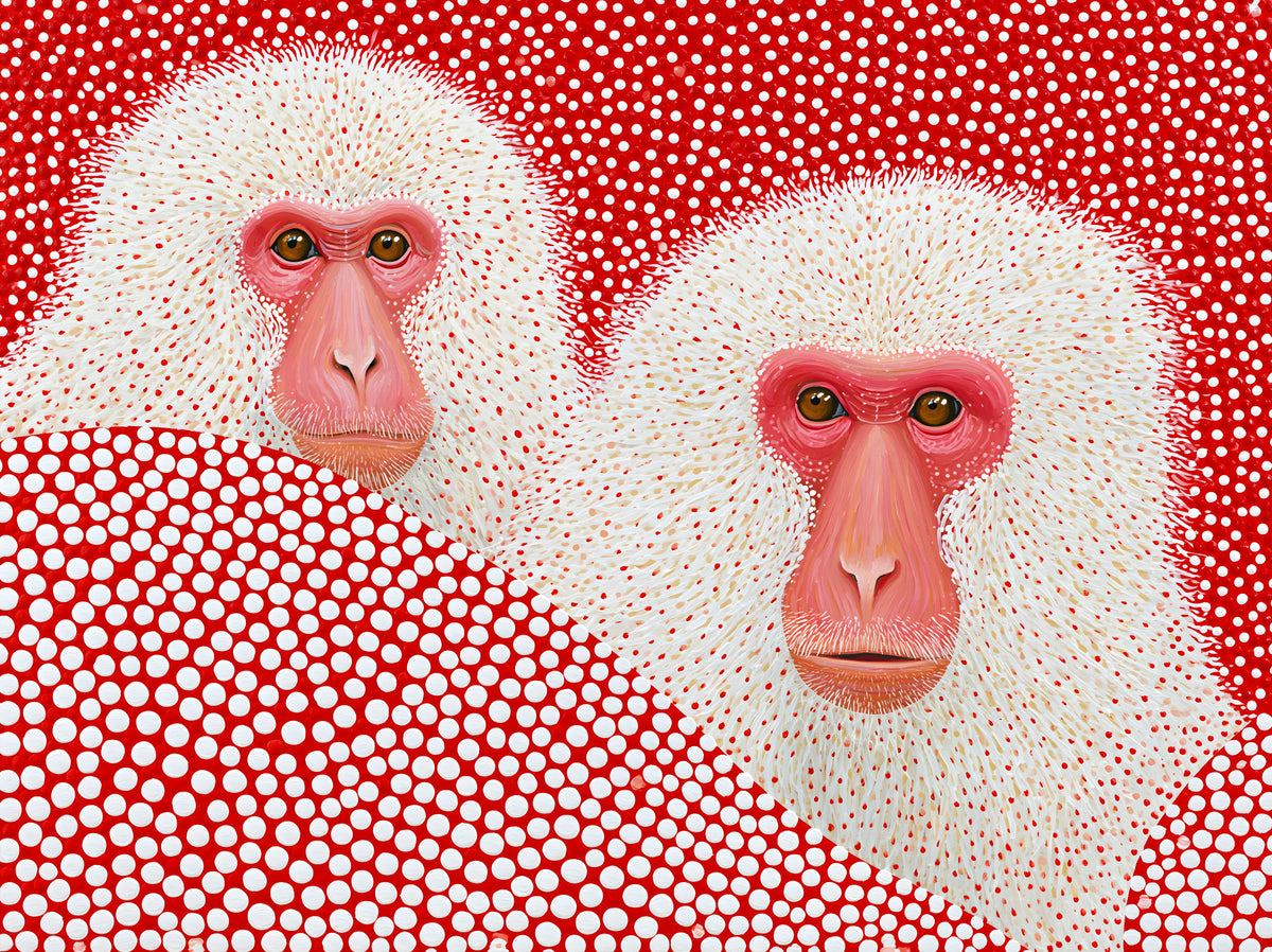 Snow Monkey Polka Dot Portrait Wall Mural in your room