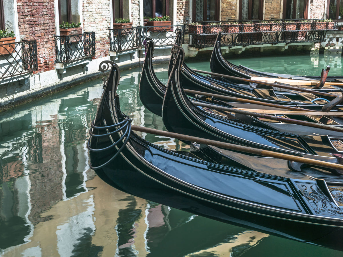 Reflective Canal Waters and Gondolas Wall Mural in your room