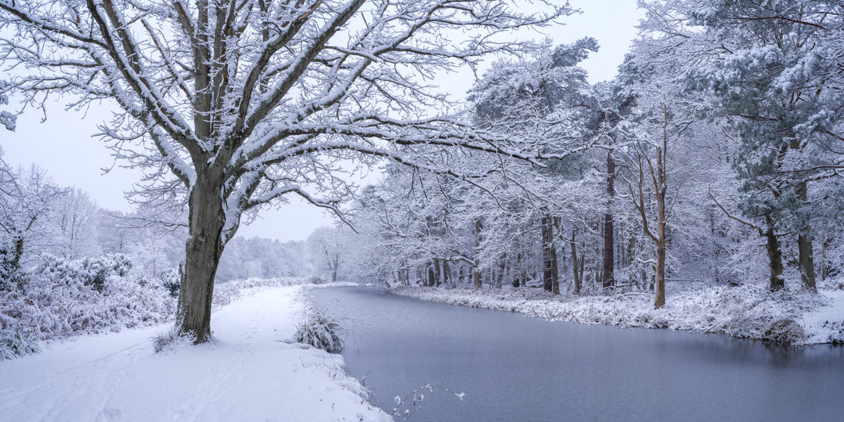Snowy River Path Wall Mural in your room — zoomed