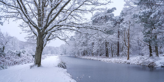 Snowy River Path Wall Mural