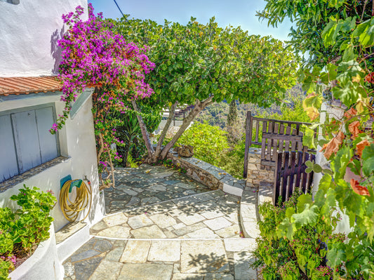Sun-Drenched Coastal Terrace Wall Mural