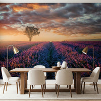 Sunrise over lavender fields wall mural behind white sofa