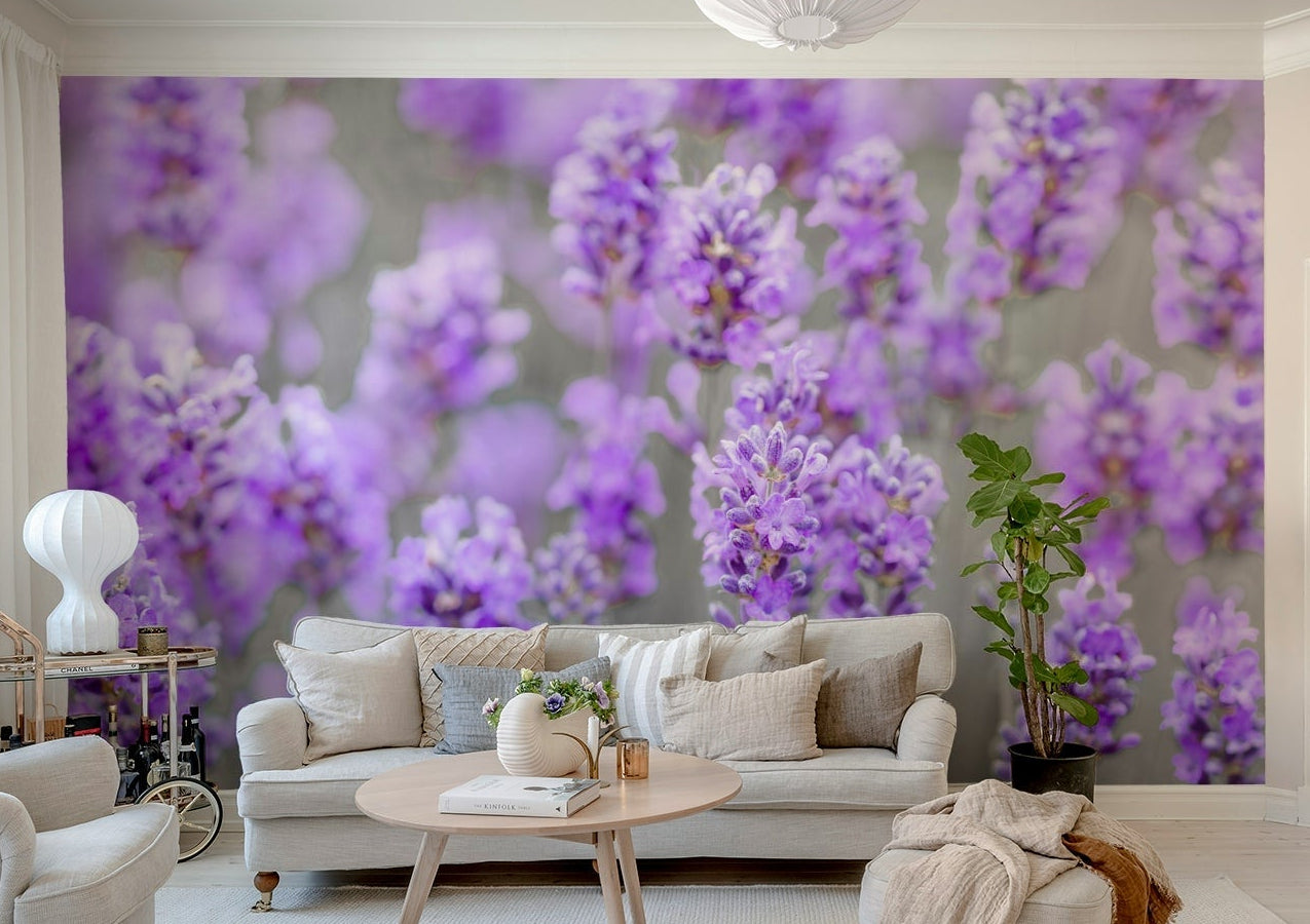 Lavender Farm wallpaper mural of close-up purple lavender blooms behind a beige sofa and cushions in a bright living room