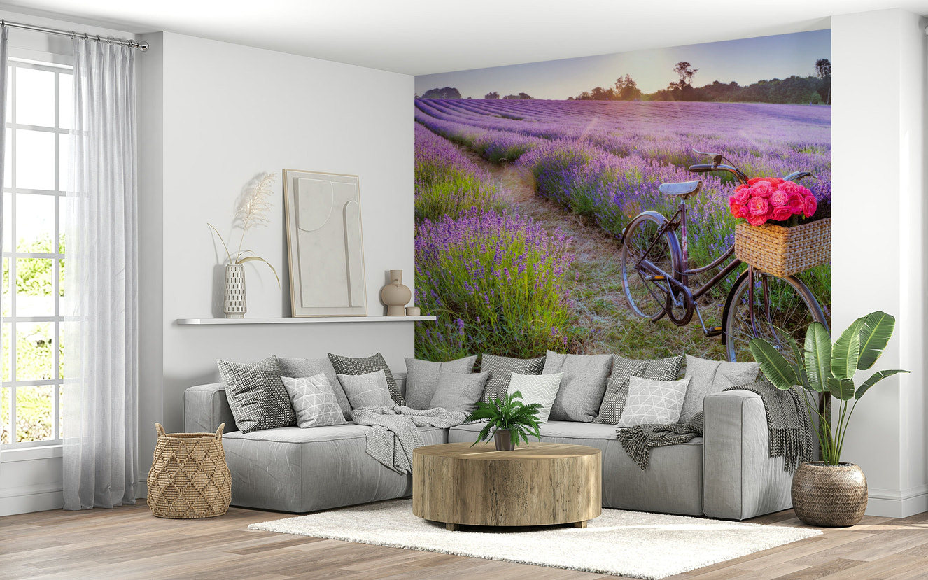 Wall design, idyllic flower garden, Bicycle in a Lavender Field.