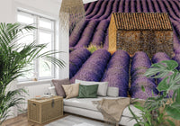 Lavender Haven wallpaper creating a serene, dreamy floral atmosphere in interiors.