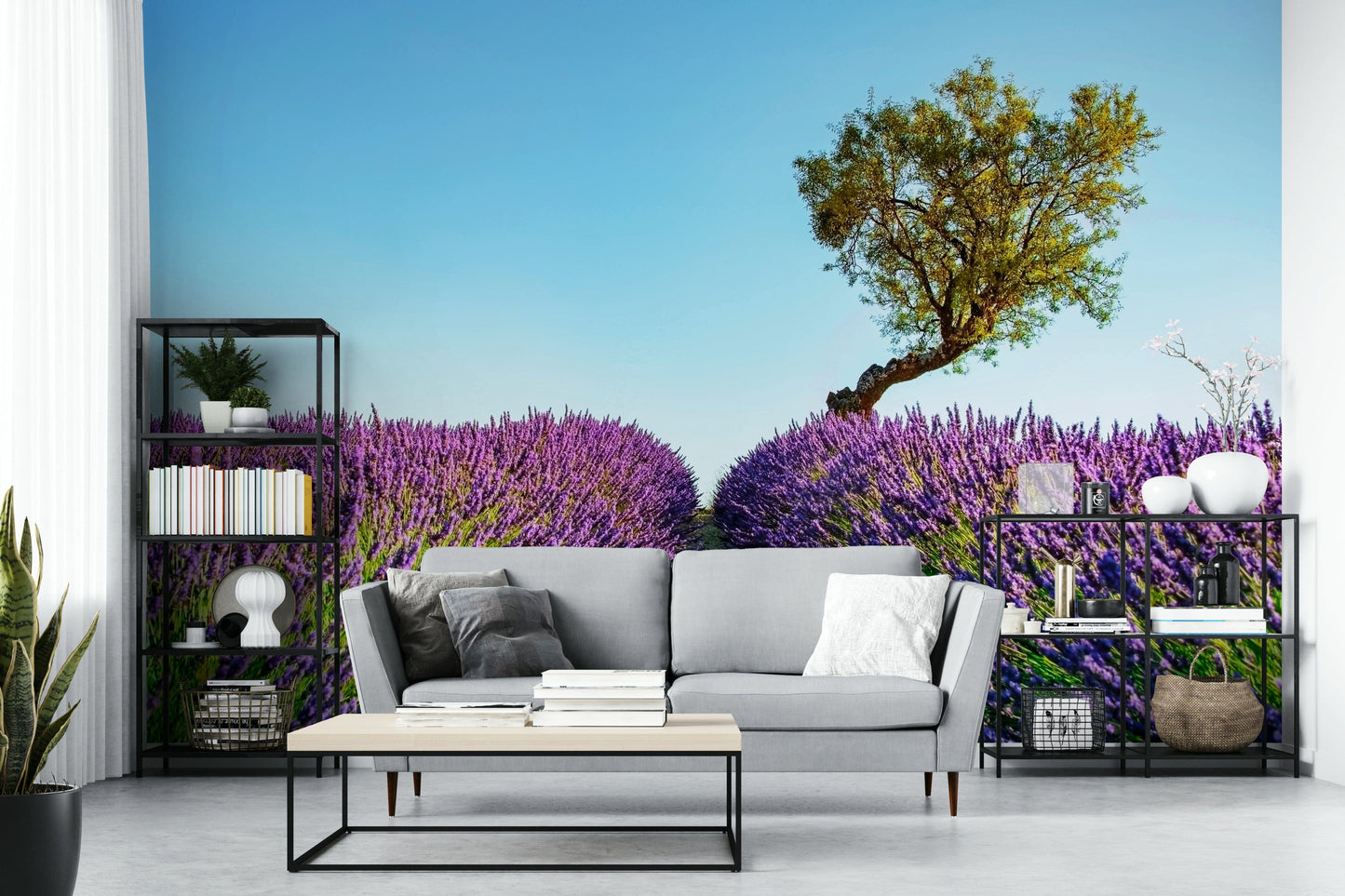 Lavender Field Wall Mural