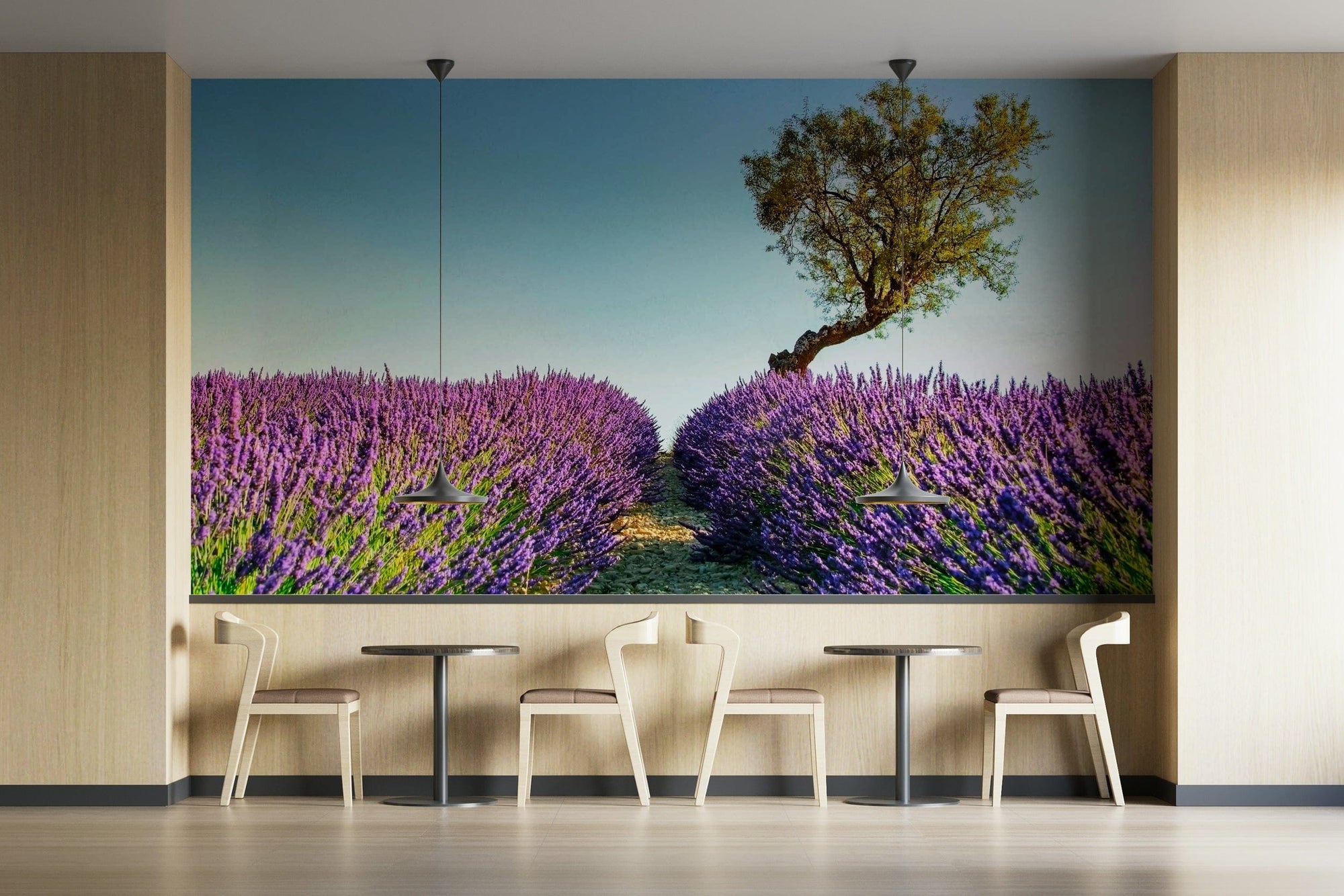 Lavender Field wallpaper mural of purple rows and a lone tree in a cafe with bistro tables and white chairs