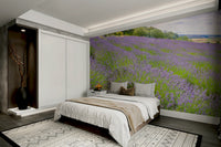 A high-quality print of a tranquil garden.

