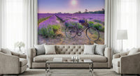 Flowering Lavender Ride field at dusk, relaxing summer evening mural.