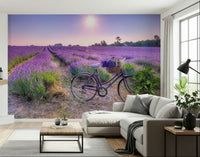 Lavender Ride bicycle field wall mural, peaceful sunset view.