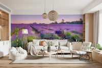 Provence style Lavender Ride scenery, beautiful floral field print.