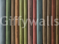 Colorful book spines wall mural for creating a reading nook atmosphere.

