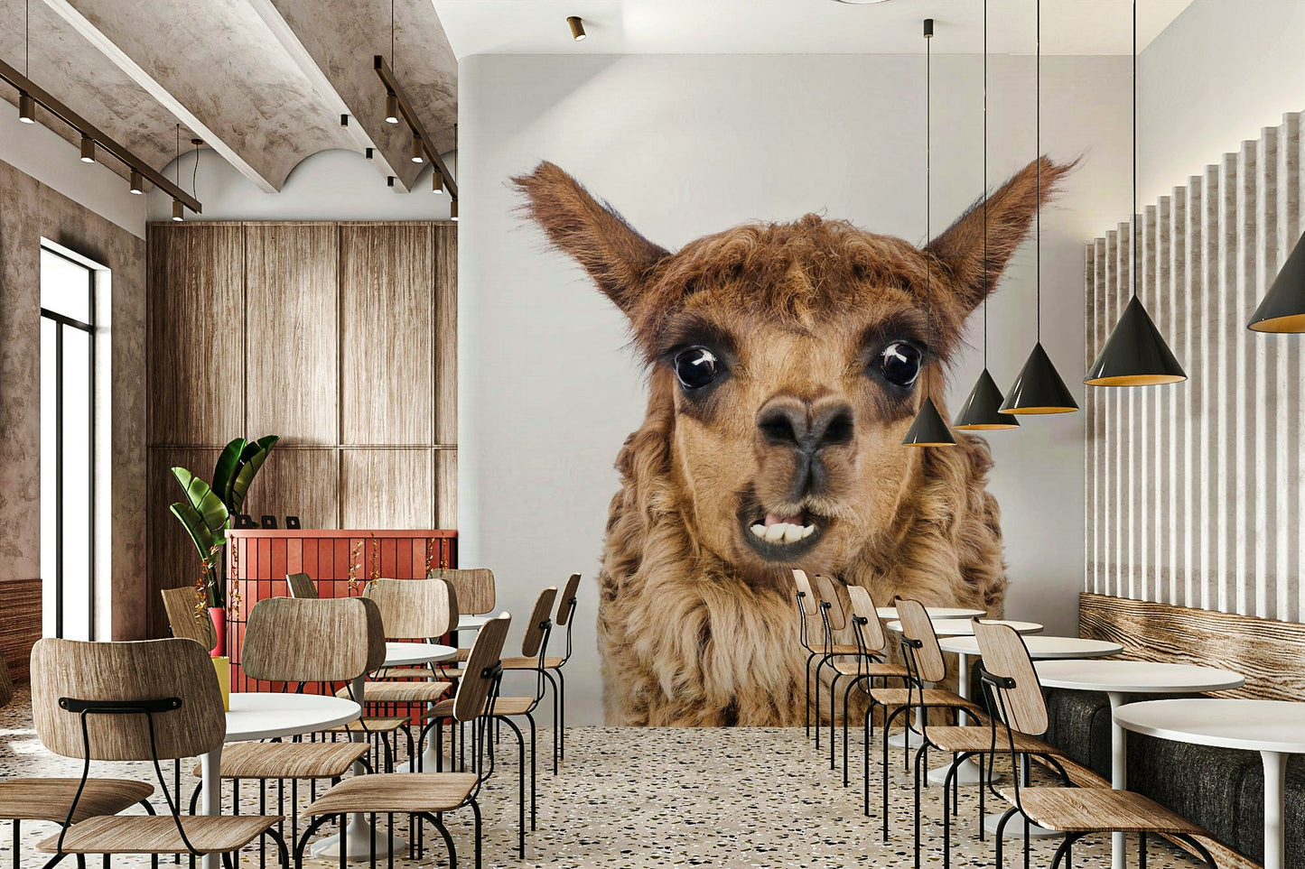 Playful and expressive llama.

