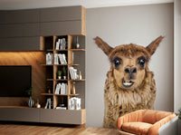 Adorable and whimsical animal photography or illustration.

