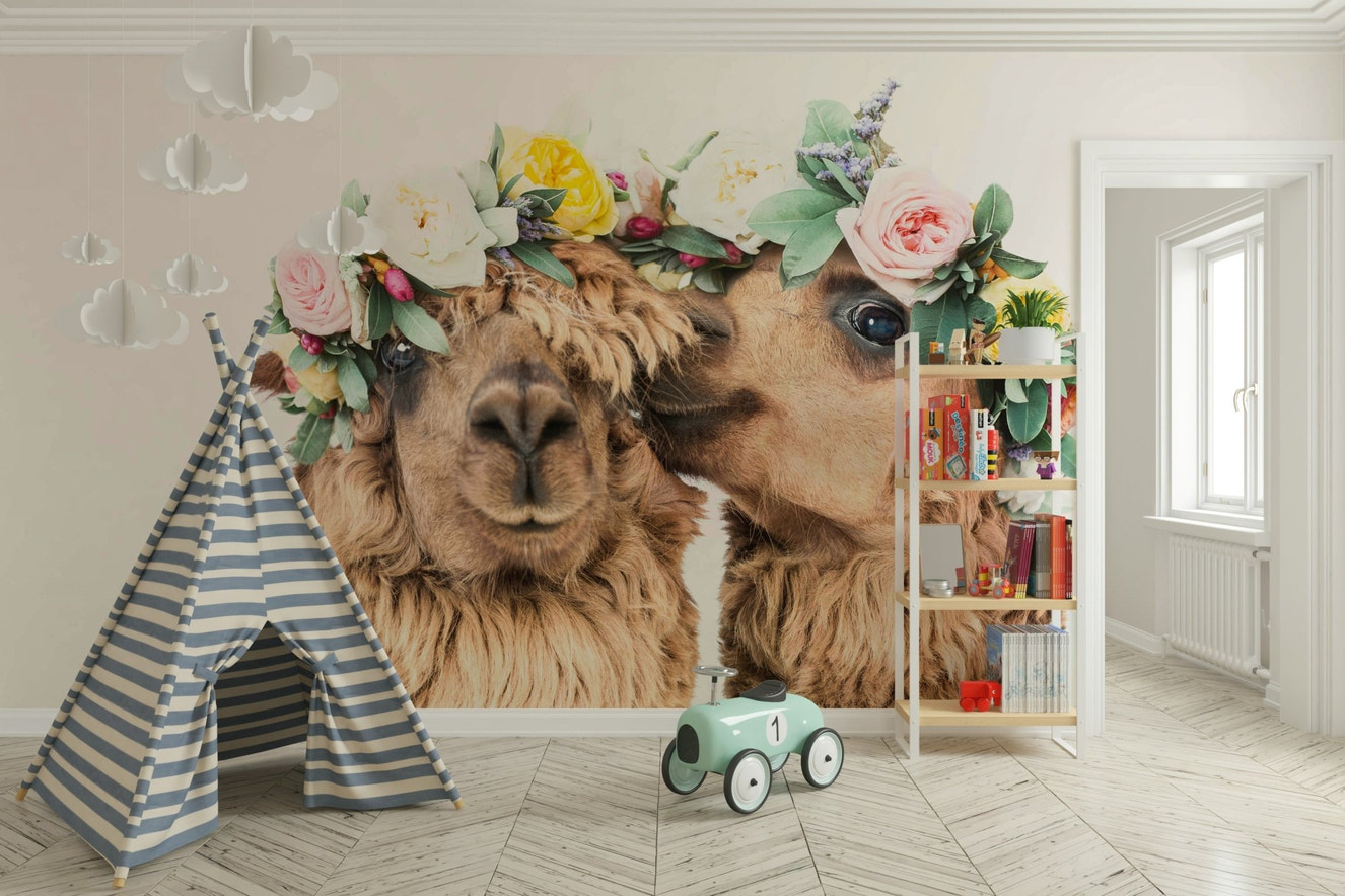 Natural colors of llama fur and background.

