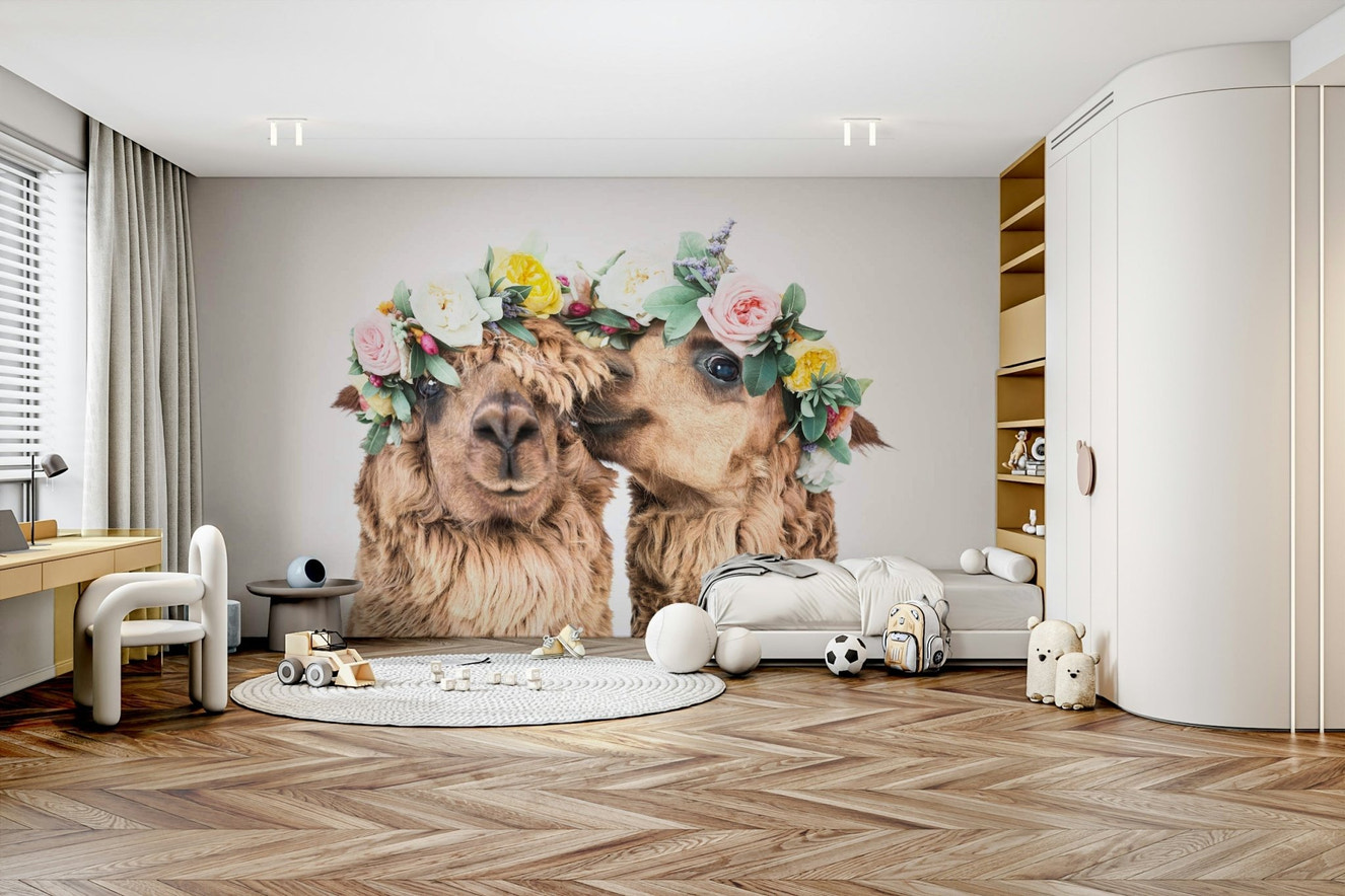 Adorable llamas interacting or showing affection.

