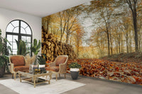 Forest path mural with sunlit trees

