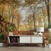 Amber leaves on trail mural wallpaper

