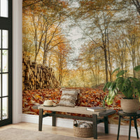 Autumn forest mural wallpaper with logs

