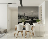 Atmospheric cityscape wallpaper for walls, historic riverbank benches, antique street lamps.
