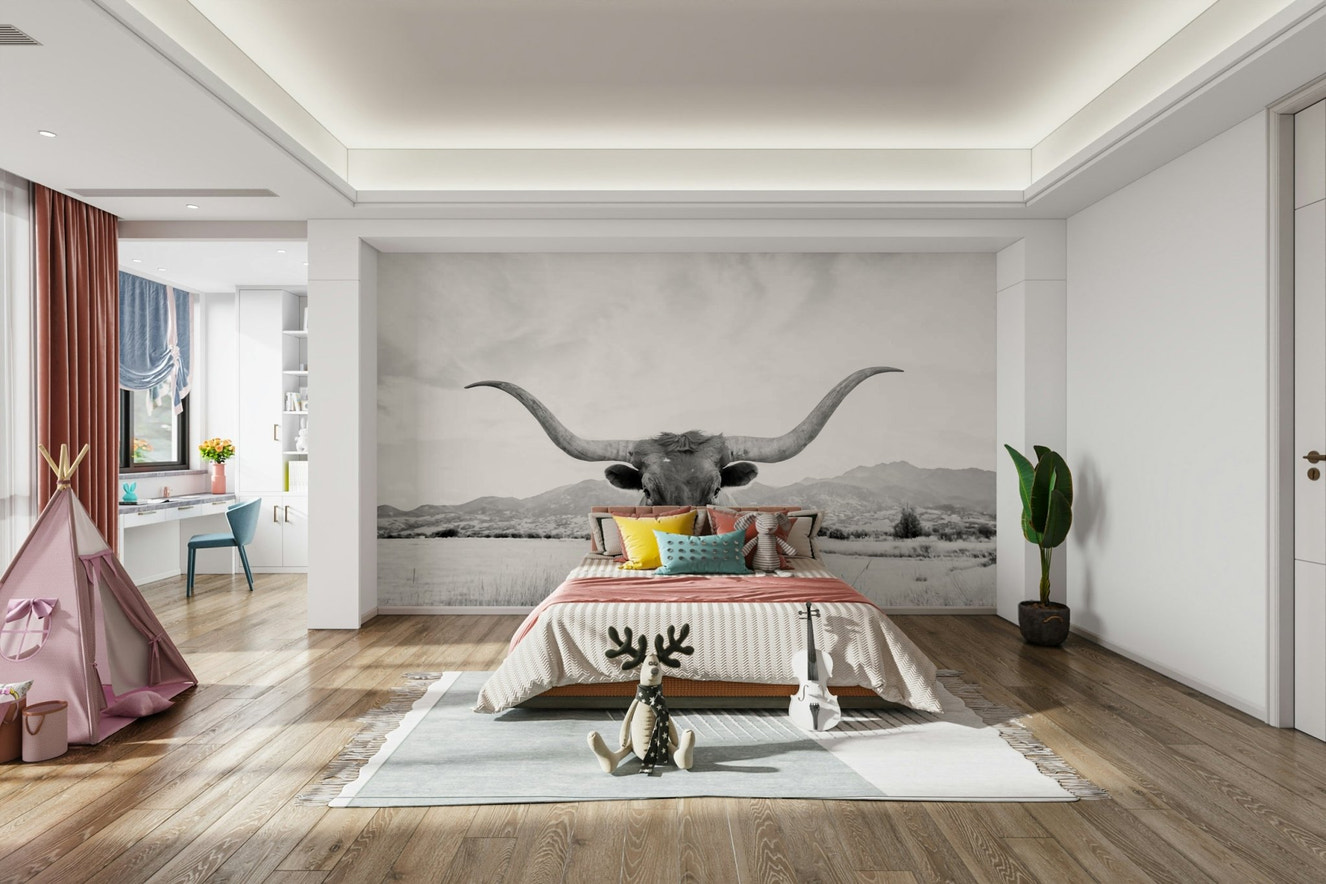 Longhorn in black and white.

